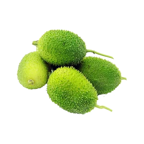 Teasel Gourd (Kakrol)
