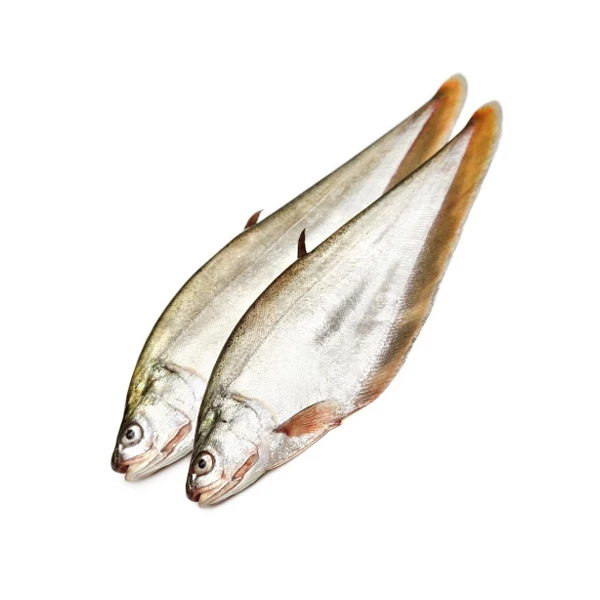 Foli Fish